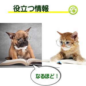 アガペットゴールド　犬猫の症状や病気辞典